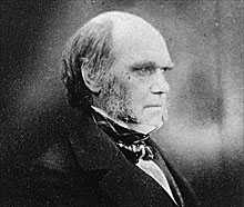 Darwin