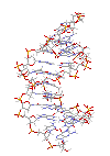 BIO